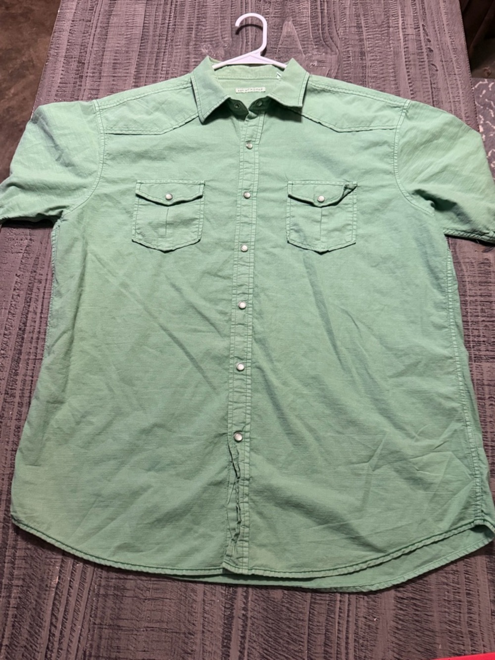 Light Green Men's Casual Snap Button-Down Shirt with Chest Pockets